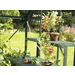 Vitavia Aluminium Top Tier Staging - Green 121cm x 28cm x 39cm