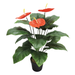 Nearly Natural Artificial Anthurium 63cm