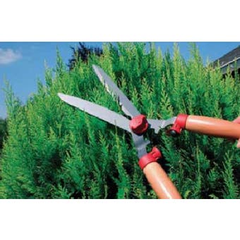 Wolf Garten Hedge Shears