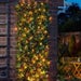 Solar In-Lit Ivy Leaf Style Trellis 180 x 90cm