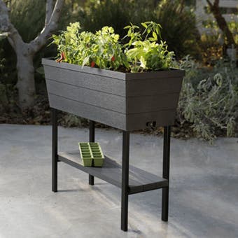 Urban Bloomer - Anthracite (Vegetable & Herbs Grower)