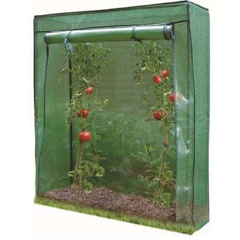 Tomato Greenhouse