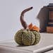 PlushPumpkin – 13cm Soft Decorative Autumn Ornament