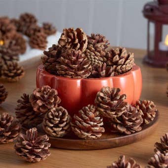 Decorative Pine Cones 600g – Natural Autumn and Winter Home Décor for Crafts, Table Displays, Wreaths and Seasonal Decorating