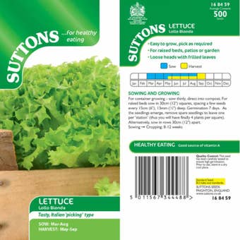 Suttons Lettuce Lollo Bionda Seeds – 500 Seeds – Frilled Leaf Salad, Easy to Grow, RHS Award Winner