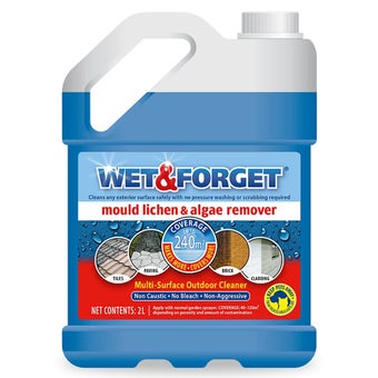 Wet & Forget Outdoor Surface Cleaner 2L - Algae, Mould and Lichen Remover for Patios, Decking and Driveways
