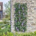 Wisteria Trellis UV resistant - 180 x 90cm