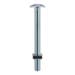 Zinc Roofing Bolts - M6 x 100mm