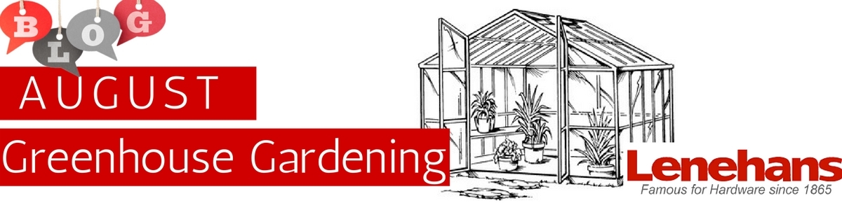 Greenhouse Gardening August