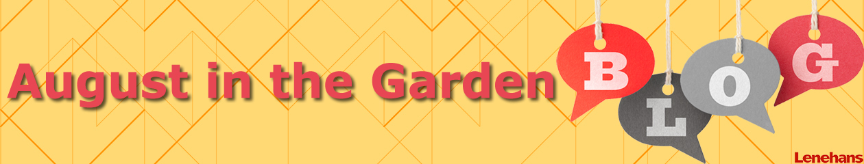 August in the Garden