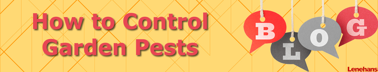 How to Control Garden Pests