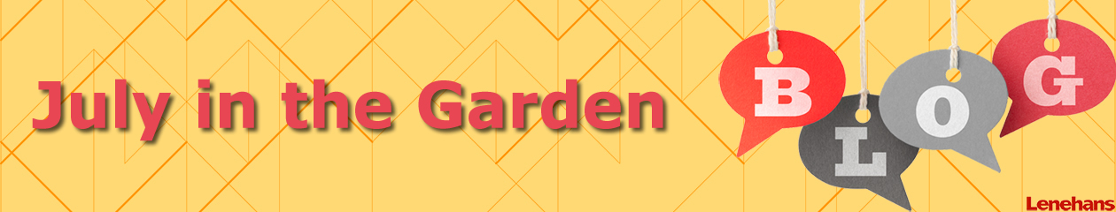 July in the Garden