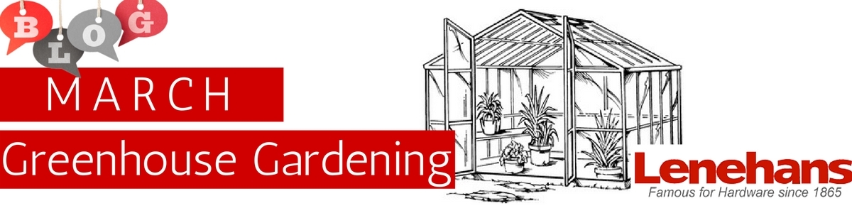 Gardening in the Greenhouse in March Blog