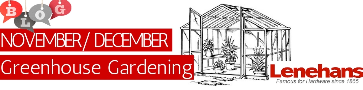 November-December Gardening In The Greenhouse