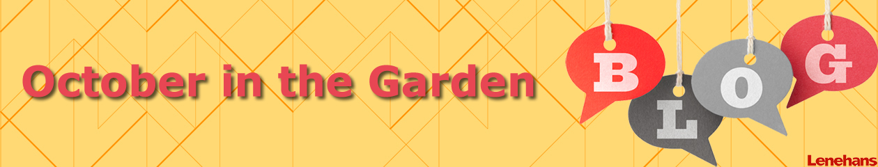 October in the Garden
