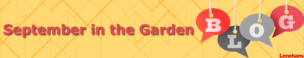 September in the Garden
