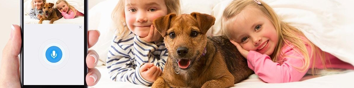 Two-Way Audio Security Camera Blog Image